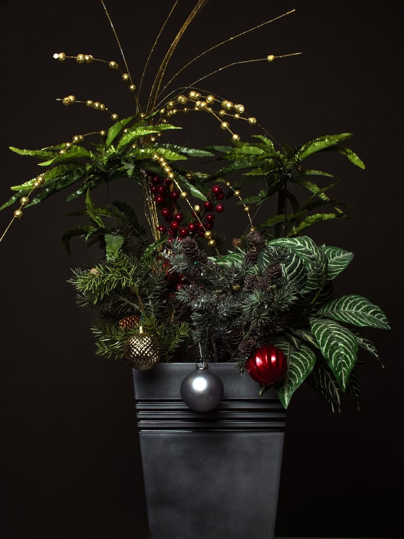 Silver Vase Plant